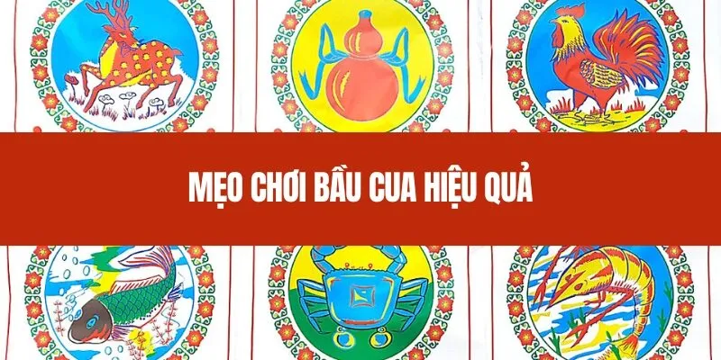 Mẹo chơi bầu cua hiệu quả